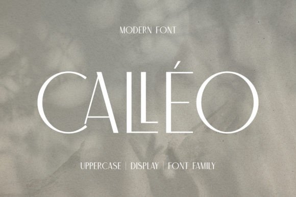 Calleo: A Minimalist Sans Serif Font for Editorial Design