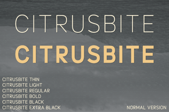 Citrusbite: A Refined Sans Serif Typeface for Modern Editorial Design
