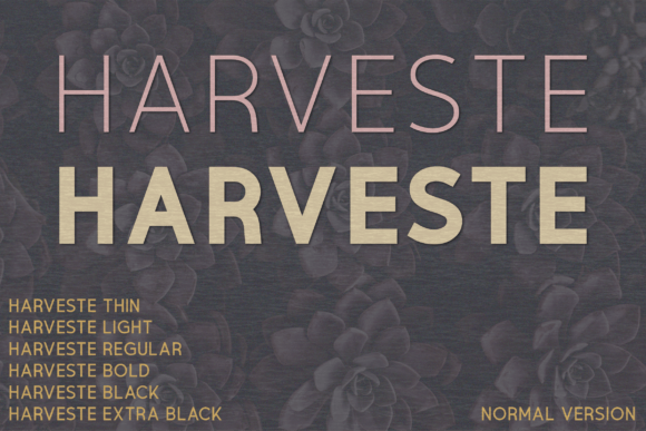 Harveste: A Designer’s Review for Branding