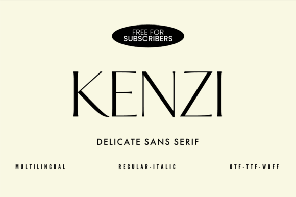 Kenzi: The Modern Sans Serif Font for Handmade Brands