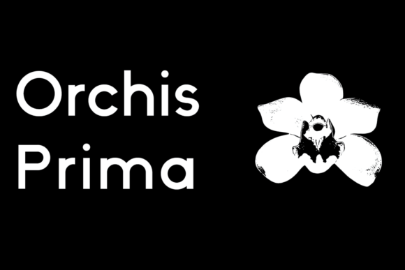 Orchis Prima: A Geometric Typeface for Modern Editorial Design