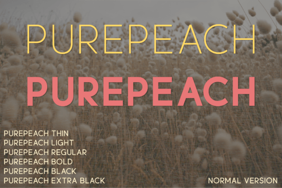 Purepeach: A Modern Sans Serif Font for Editorial Design