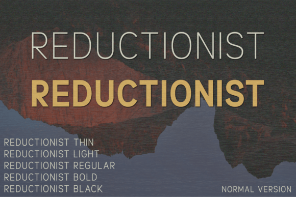 Reductionist: A Modern Sans Serif Typeface for Web Design